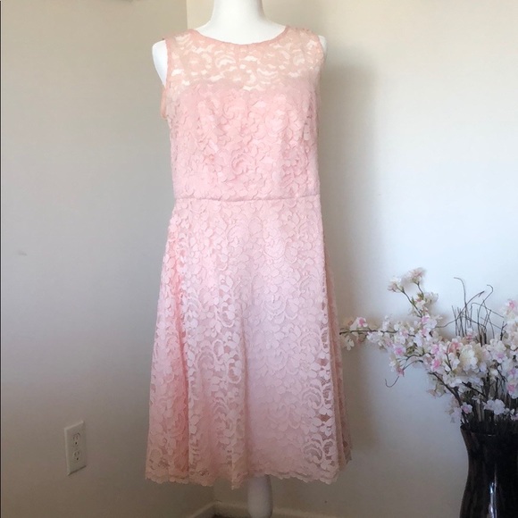 David's Bridal Dresses & Skirts - Pink Fit & Flare with Lace